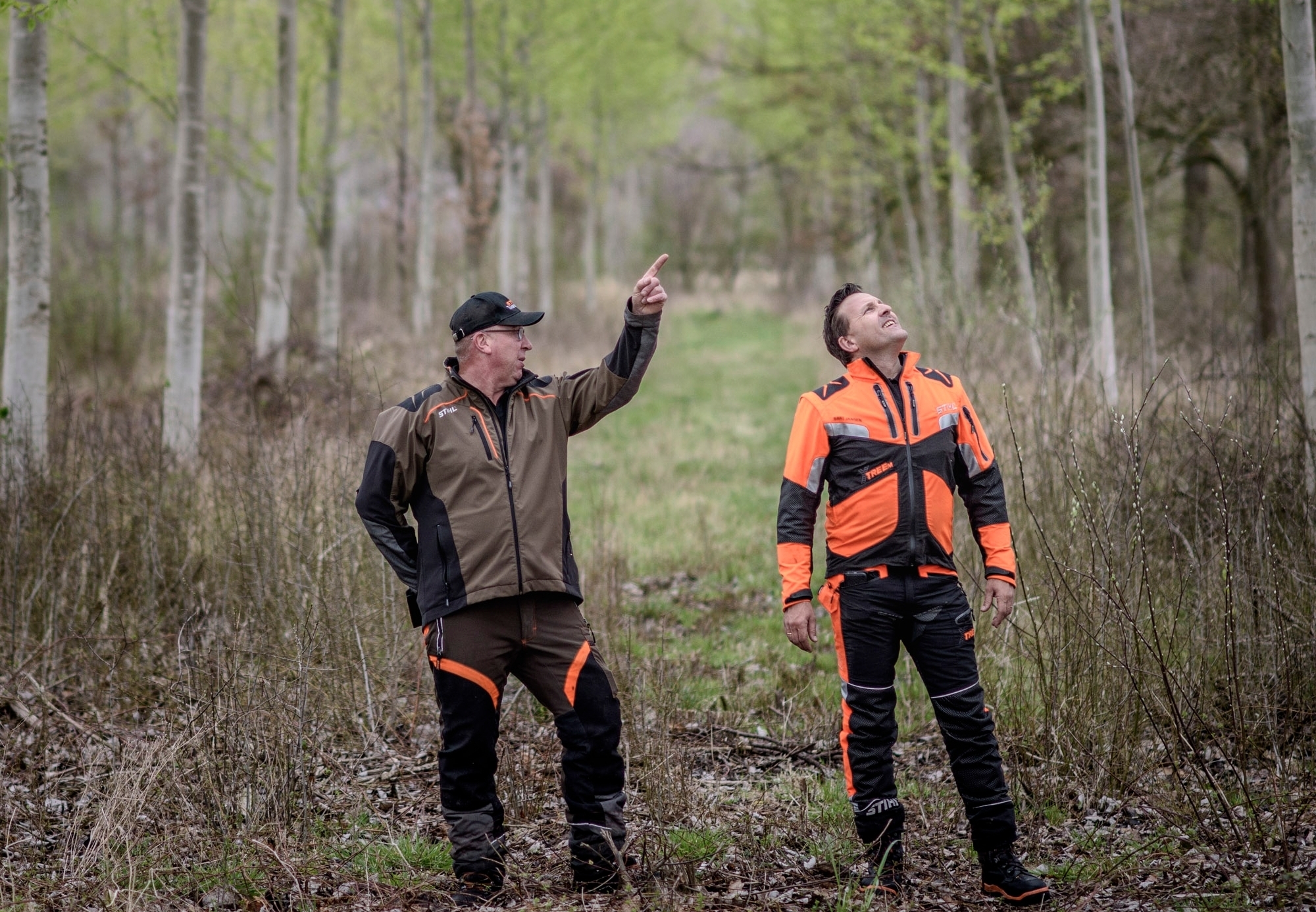 Wood Manager Bart Jansen (right) and Global Sports Director Spike Milton inspect the trees closely before felling to ensure the quality of the competition wood and fair contests.