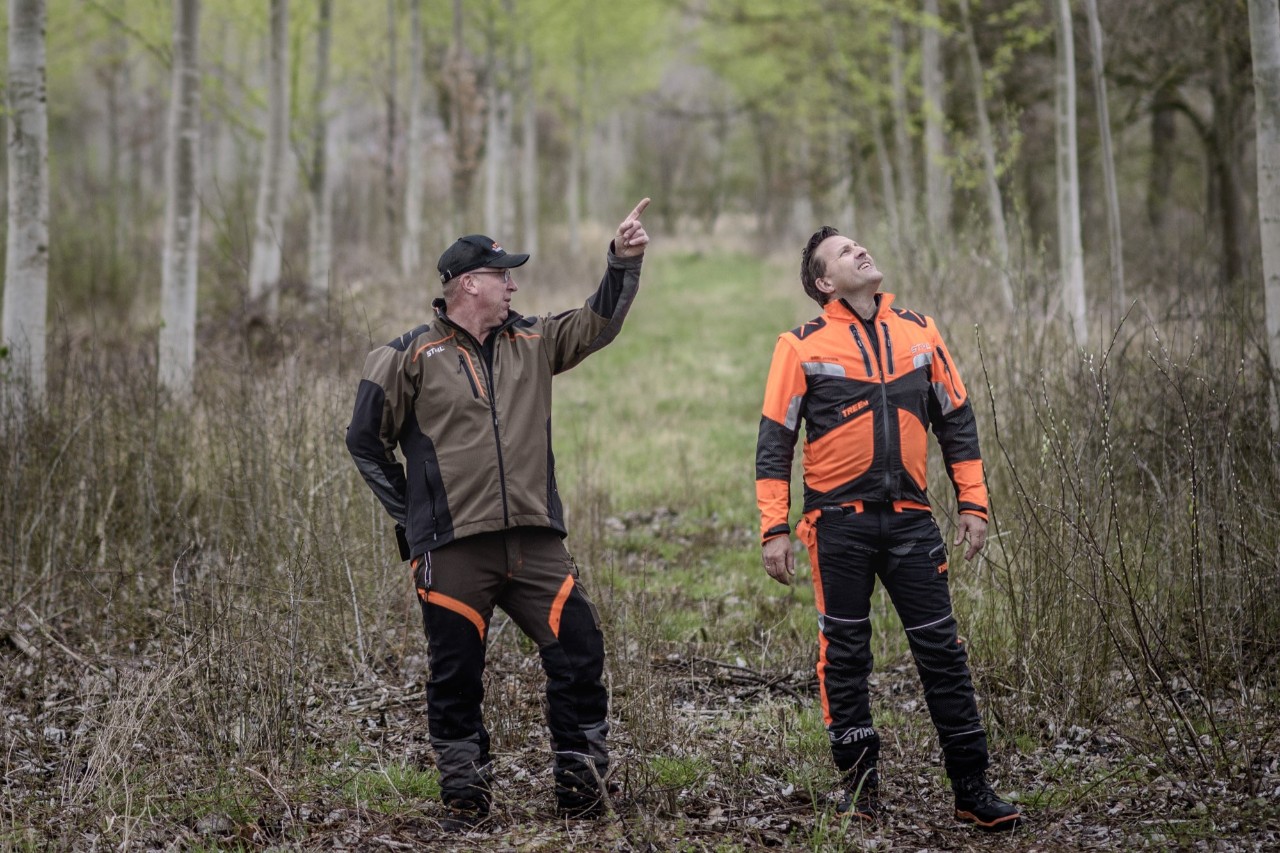 Two men in the forrest looking into the trees wearing STIHL protective cloth